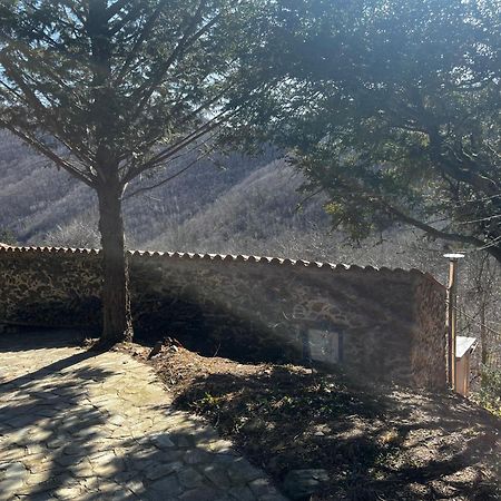 Mas Caraus Διαμέρισμα Montferrer Εξωτερικό φωτογραφία