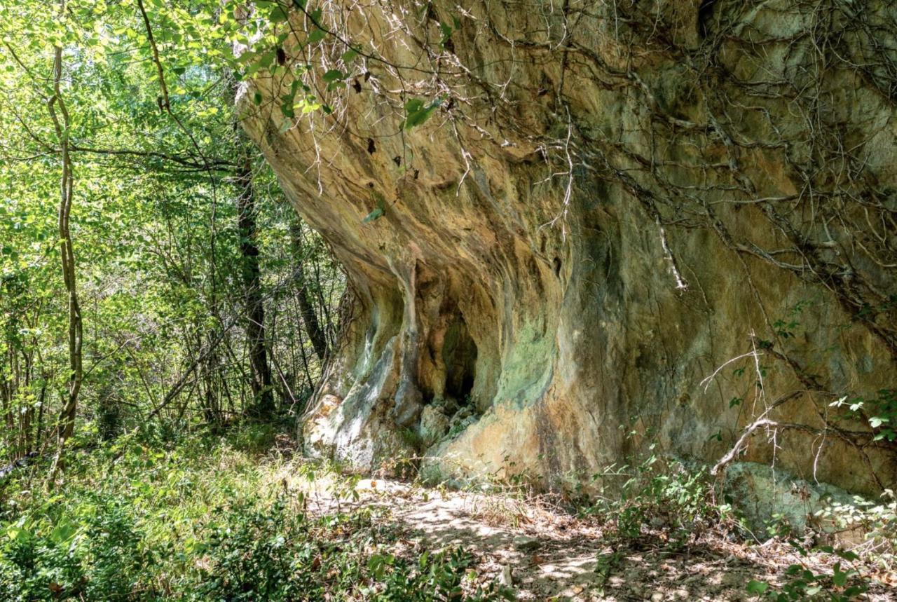 Mas Caraus Διαμέρισμα Montferrer Εξωτερικό φωτογραφία