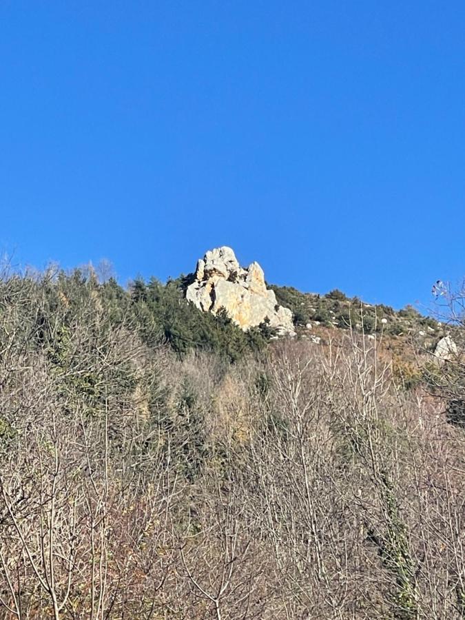Mas Caraus Διαμέρισμα Montferrer Εξωτερικό φωτογραφία