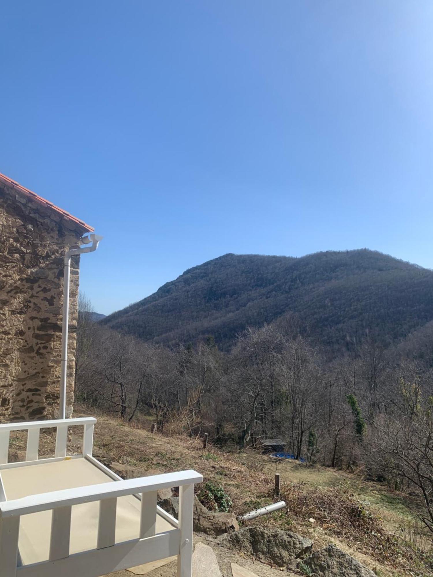 Mas Caraus Διαμέρισμα Montferrer Εξωτερικό φωτογραφία