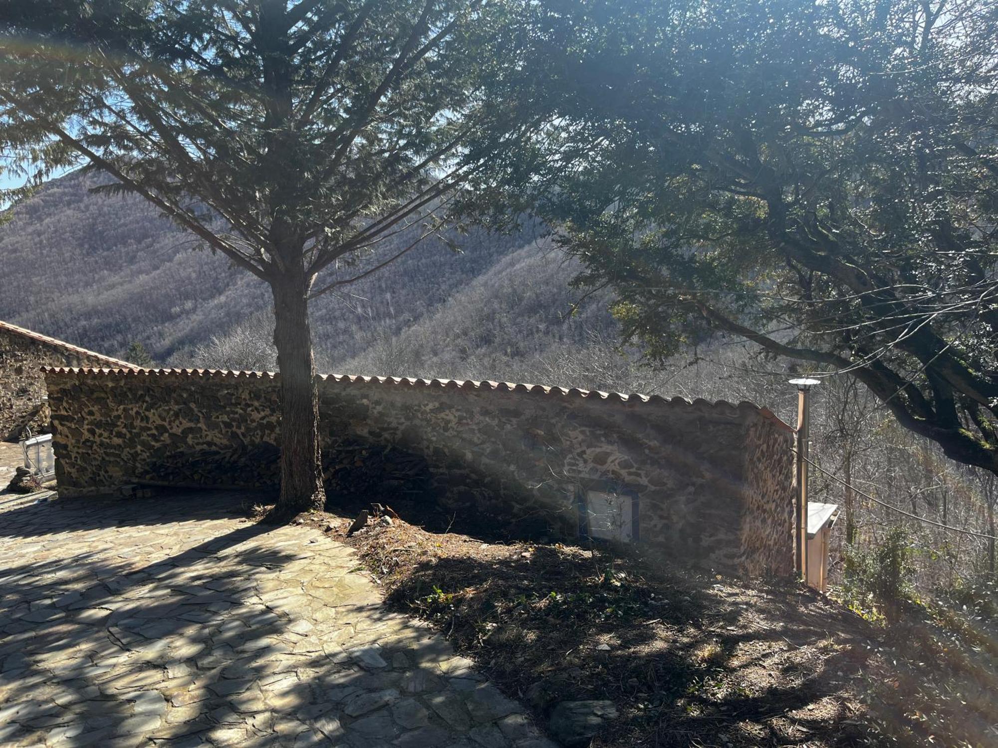 Mas Caraus Διαμέρισμα Montferrer Εξωτερικό φωτογραφία