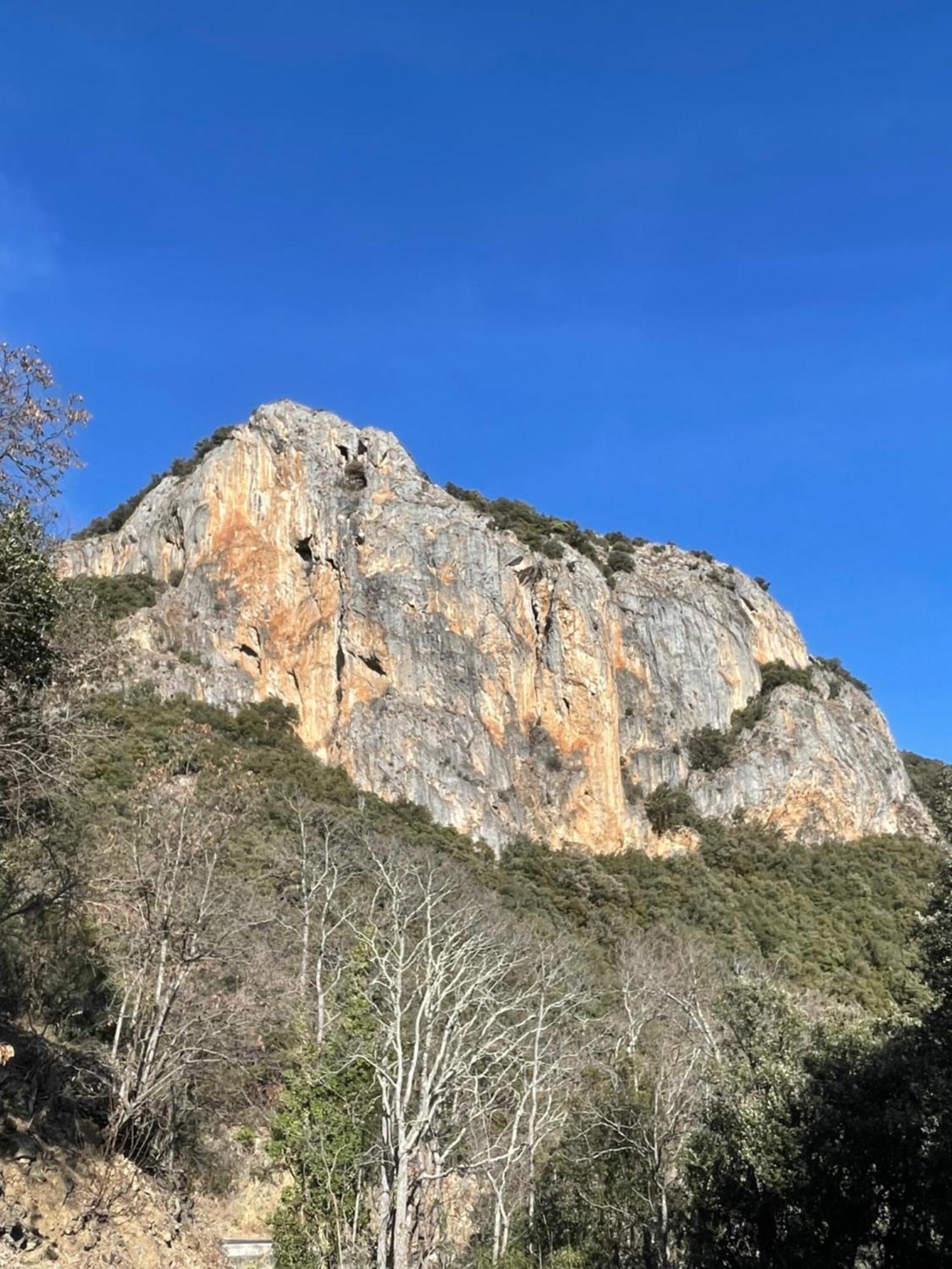 Mas Caraus Διαμέρισμα Montferrer Εξωτερικό φωτογραφία
