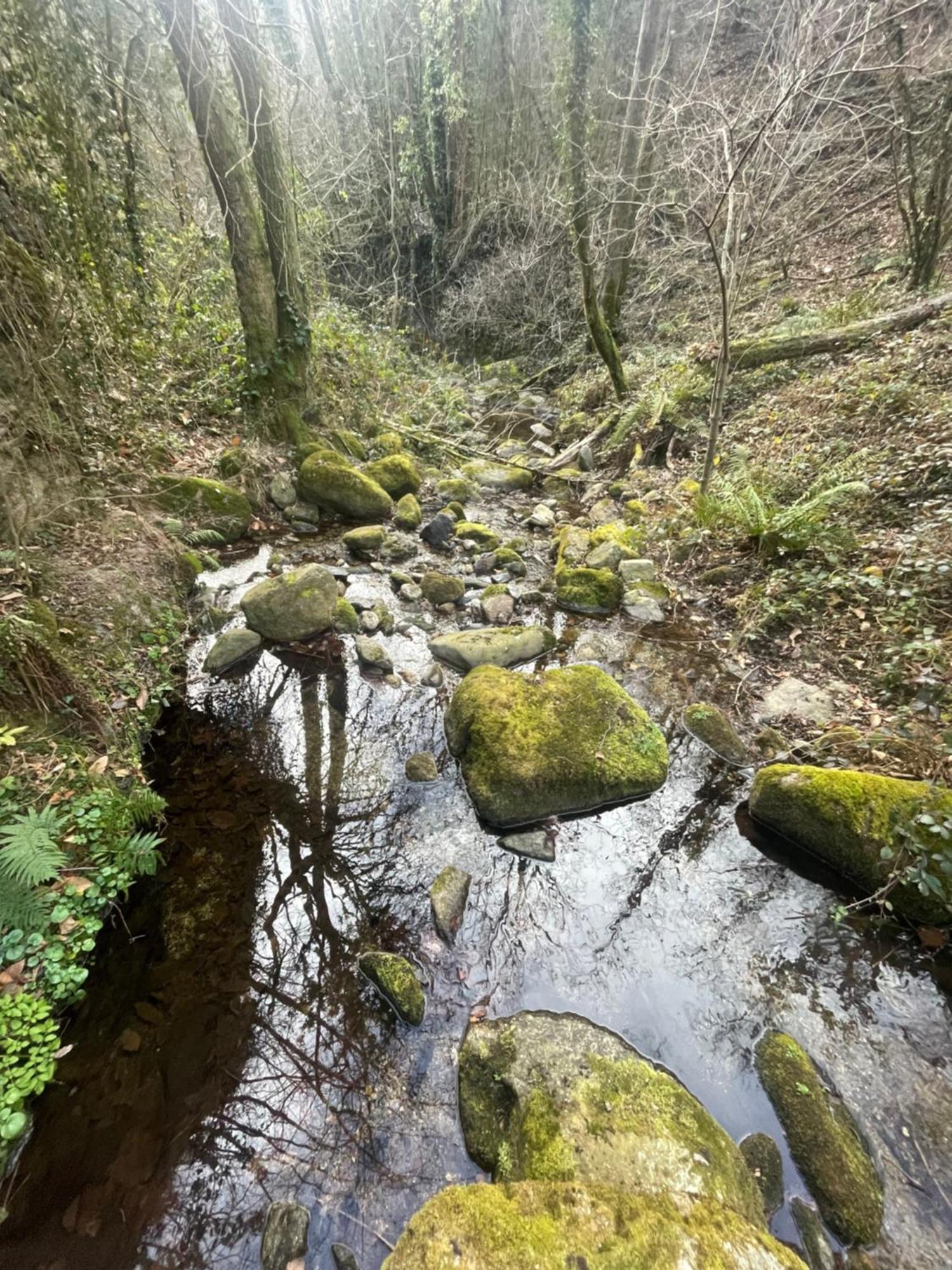 Mas Caraus Διαμέρισμα Montferrer Εξωτερικό φωτογραφία